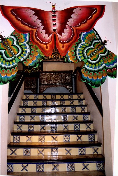 Butterfly Museum San Juan