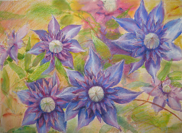 violet flowers