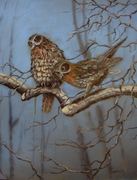 owls