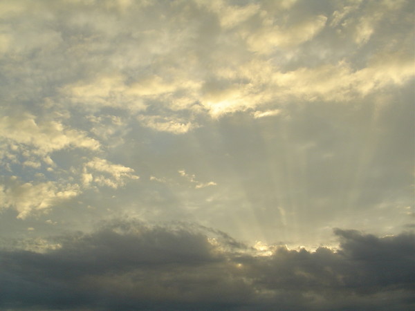 Sun Rays