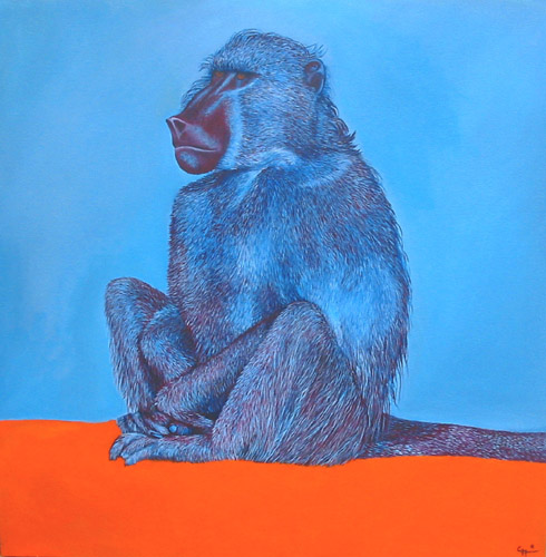 Baboon