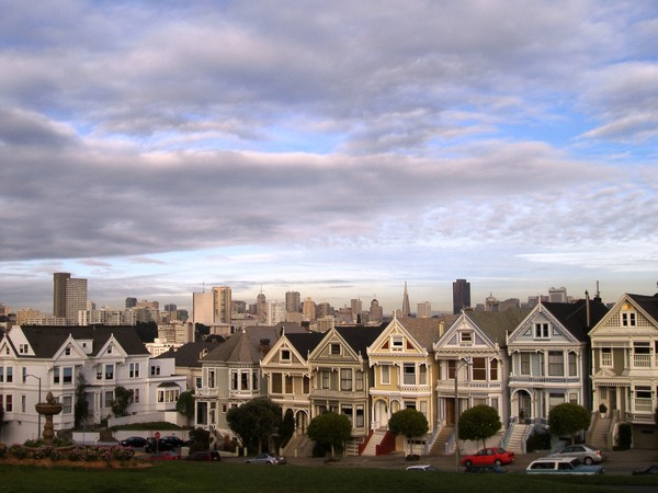 painted Ladies