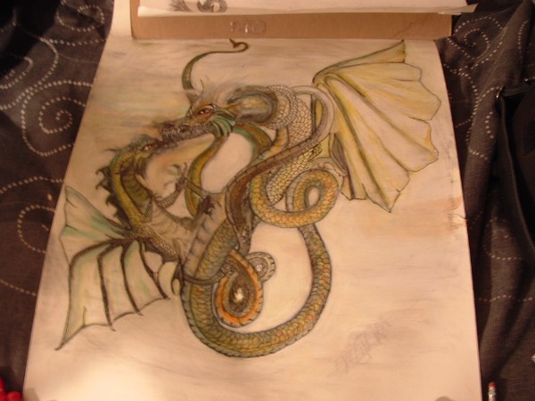 Fighting Dragons