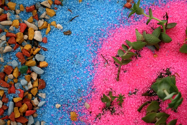 Transportable Gardens