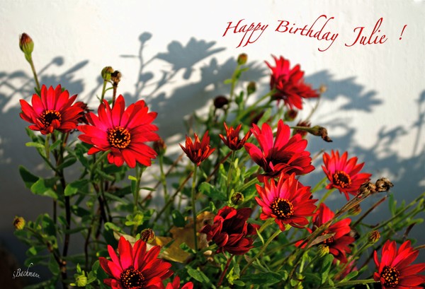  Happy Birthday Julie Mayser !