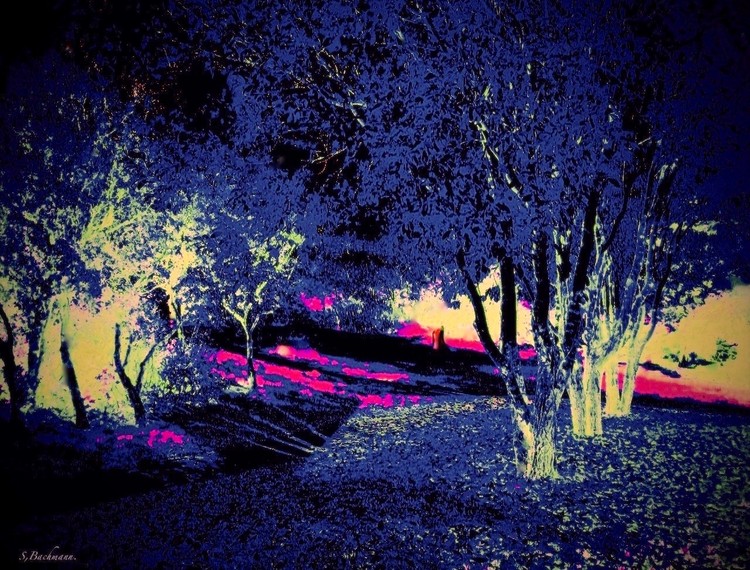 Late at Summer dawn.