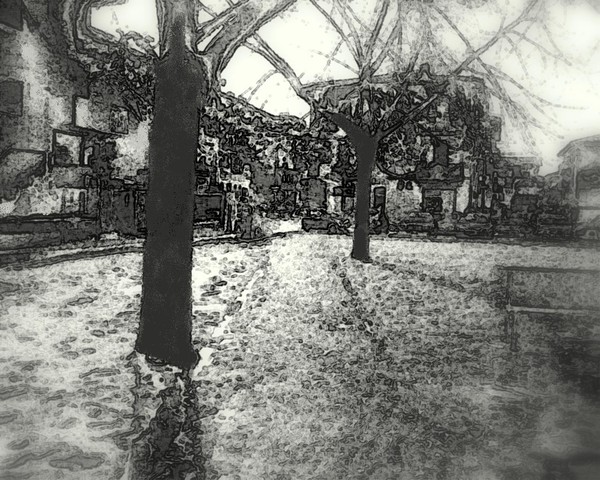dreaming  a cold winter