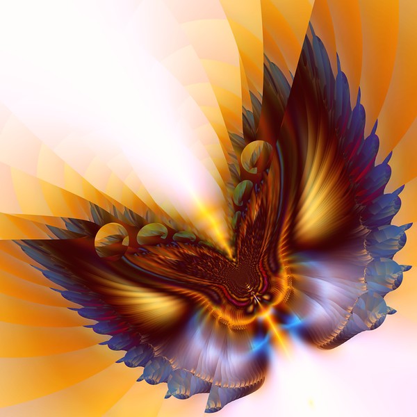 The Sunshinebutterfly
