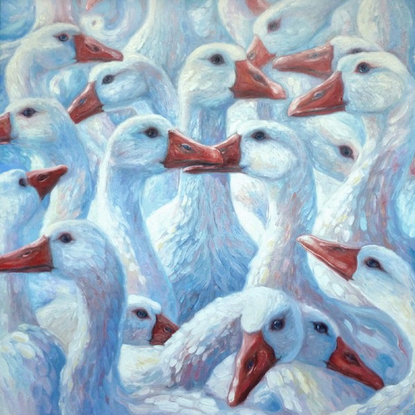 gaggle of geese