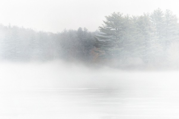 fog