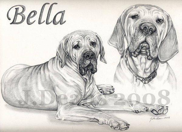 Bella