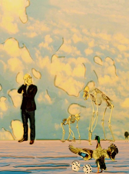 the sensible problem (bone sheck)