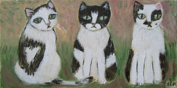 Cow Cats
