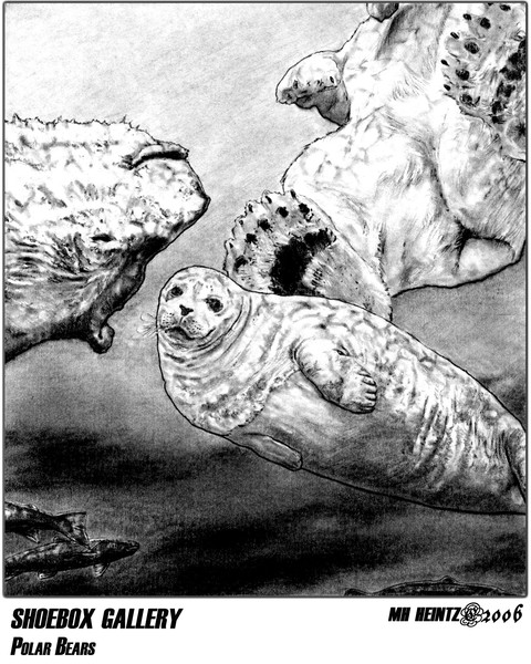SHOEBOX GALLERY: POLAR BEARS