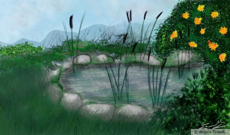 pondbyAngelaTossell (20240708095105)