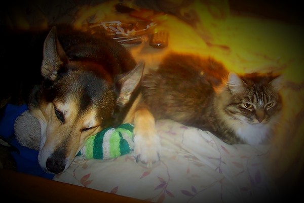 Best Friends