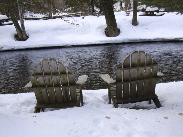 Cold Winters Day by the creek