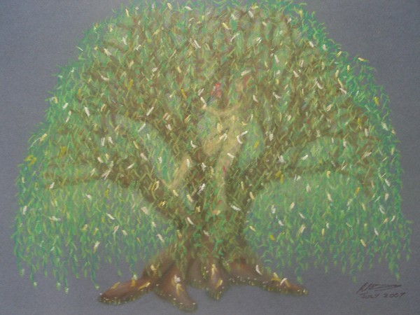 Willow Girl