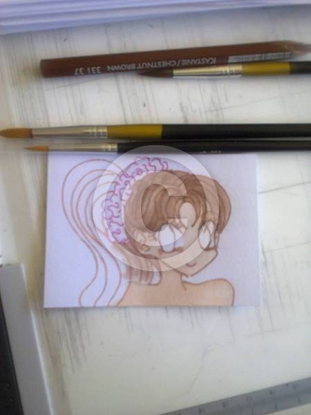 Aceo wip