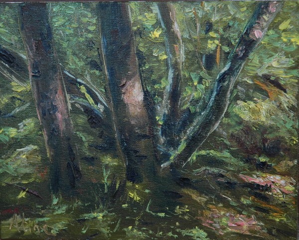 Growing in Shade