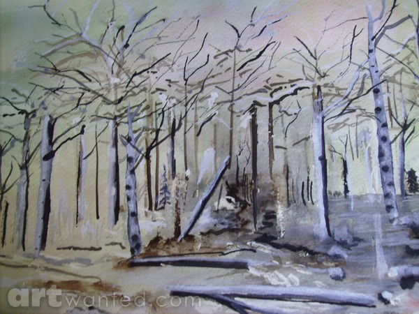 wintry forrest