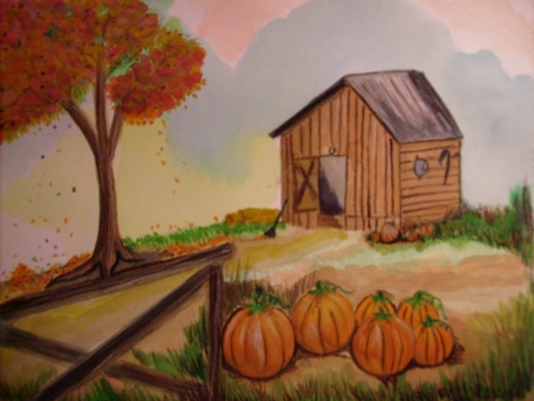 The Pumpkin patch