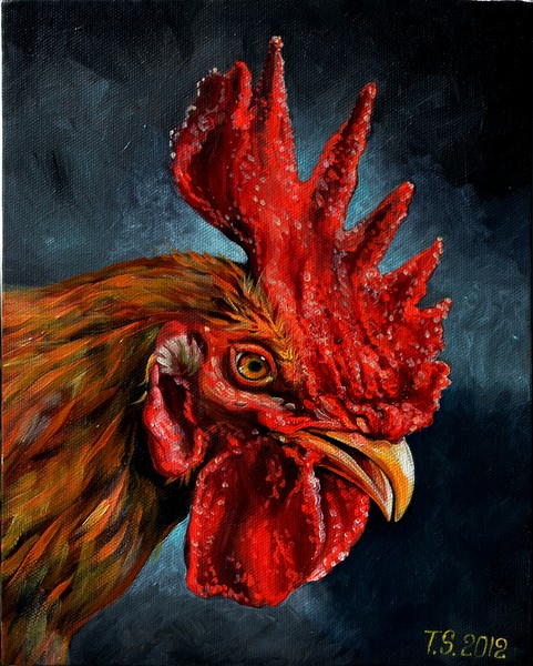 Rooster