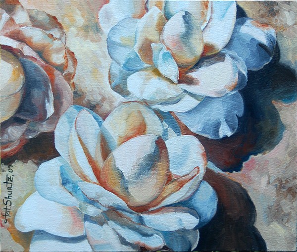 White Fallen Camellias