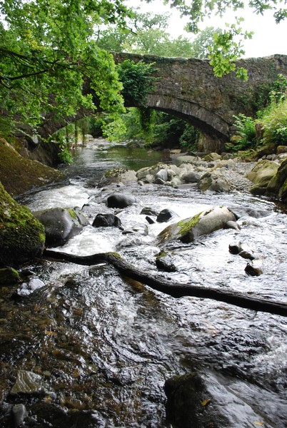 The Torrent Walk