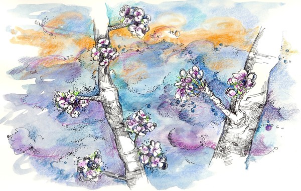 Stormy Sky Blossoms
