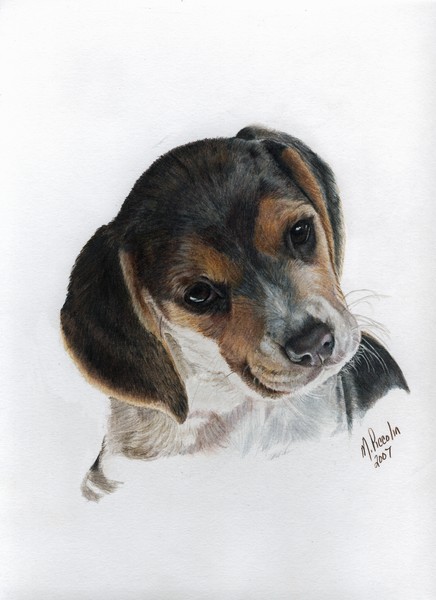 Teagan
