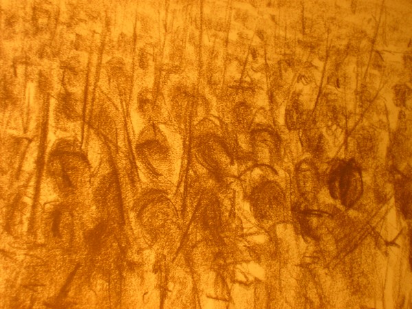 Protest