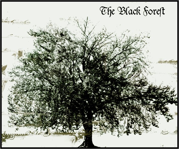 The Black Forest