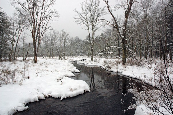 Winter beauty #2
