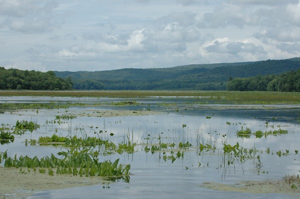 The Basha Kill Wetland Area