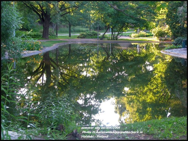 REFLECTIONS.. 2009