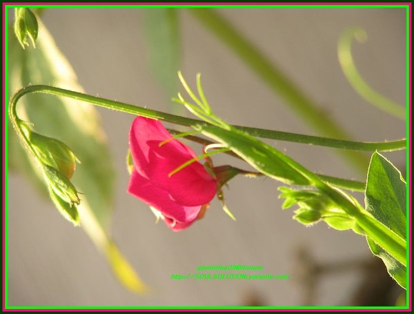 ..humbly I bow to you...