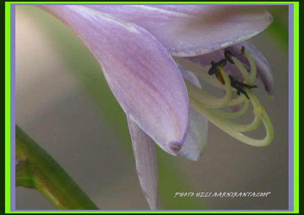 ..ring some bells..