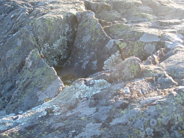 ROCKS
