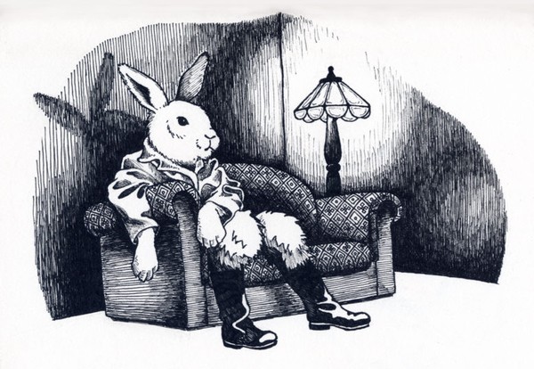 White bunny