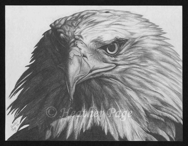 Eagle