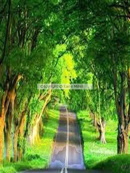 Landscape 15