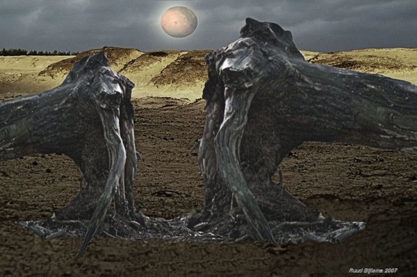Desert confrontation.