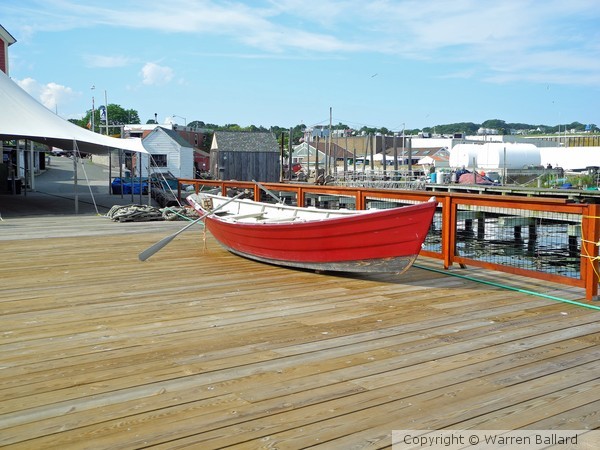 Grounded Dory