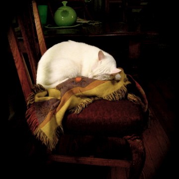 Shhhh... I'm Sleeping