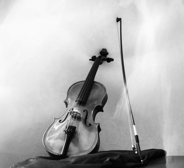 violin 