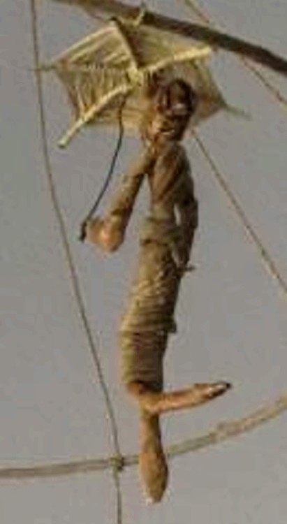 CARROUSSEL fig