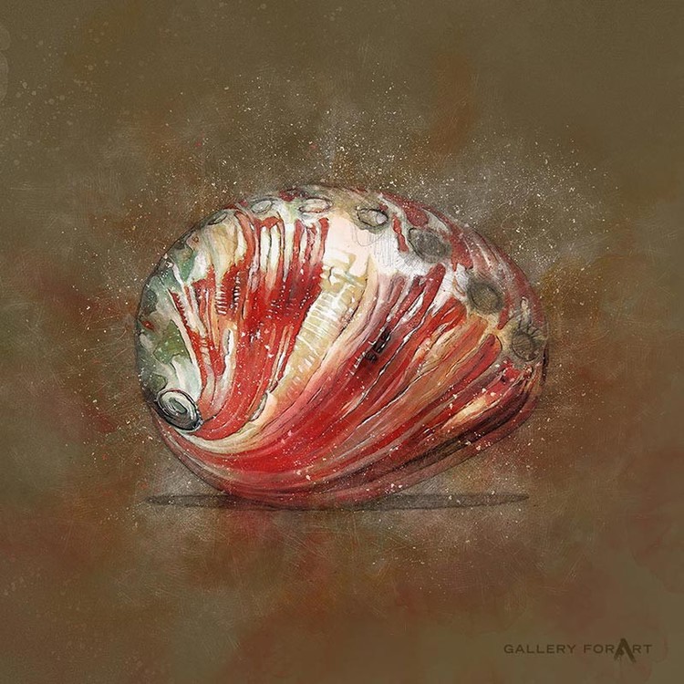SHELL MUD ABALONE-RED