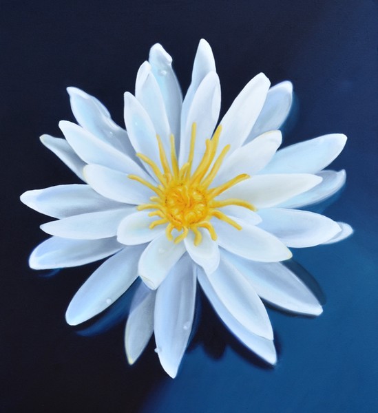 White Lily