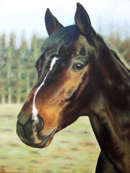 Russian Horse
